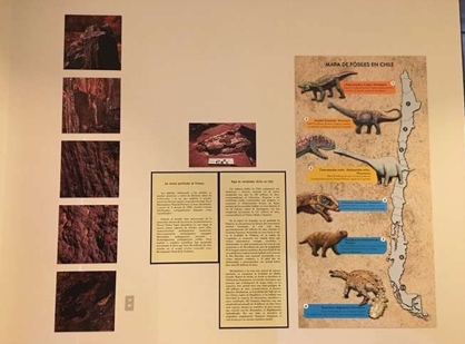 Captura de pantalla_24-6-2025_102856_