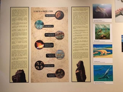 Captura de pantalla_24-6-2025_102912_