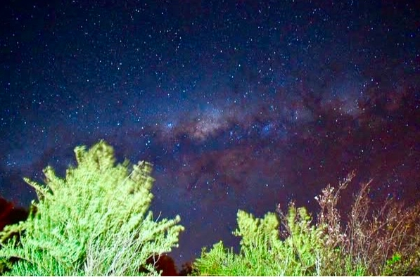 Captura de pantalla_12-8-2025_103812_docs.google.com